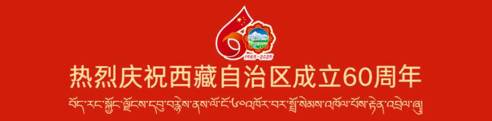 纪录挑战过, Vb